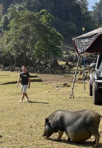 Resenär vid ett tältläger på biltaket som möter en lokal gris under vildcamping i Vietnam